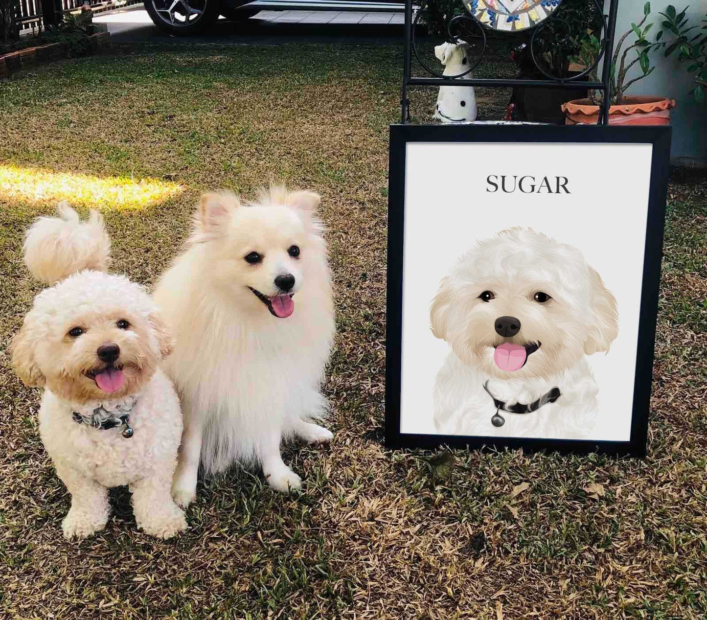 Hand-Drawn Pet Portraits