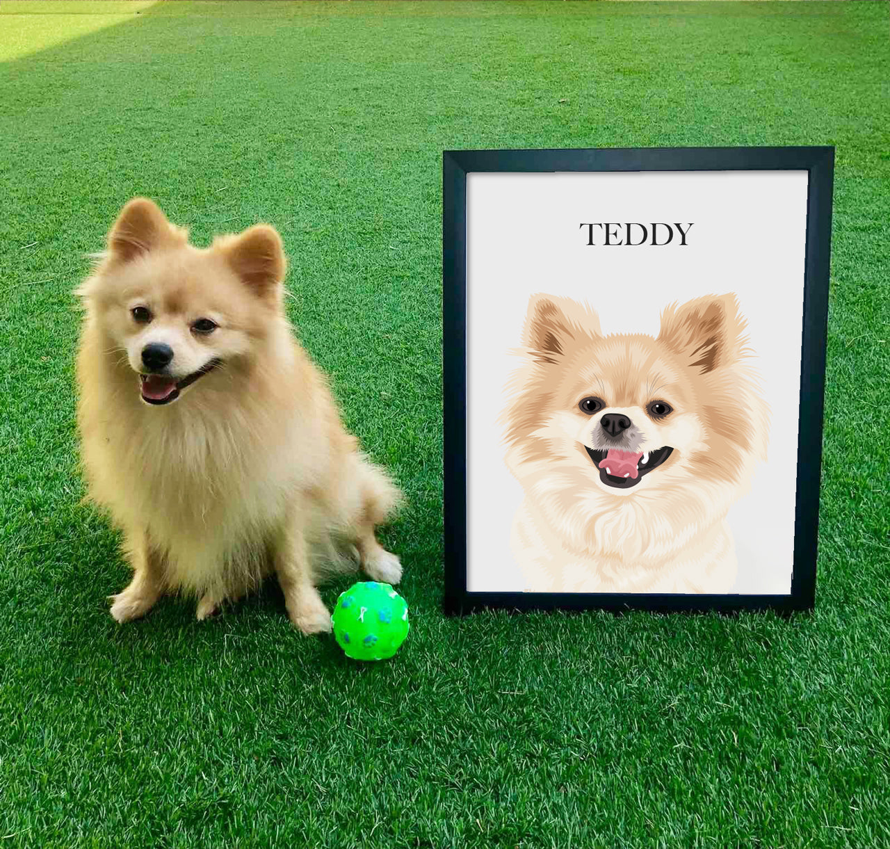 Hand-Drawn Pet Portraits