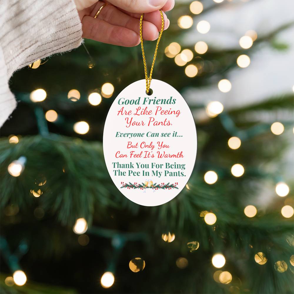 Hilarious Friend Ornament - Show Them How Much You Care - Buy More Save More - 50% off If You Buy 10!