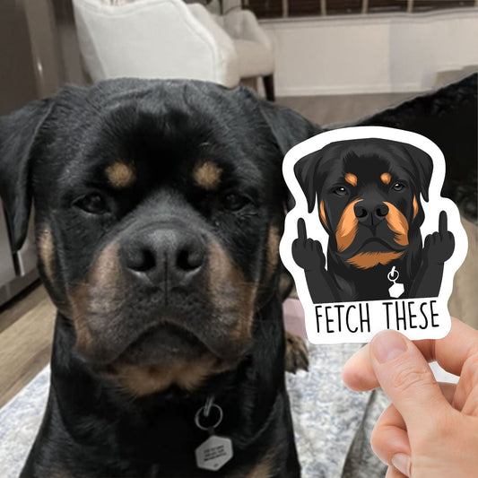 Hand-Drawn Funny Pet Photo Stickers