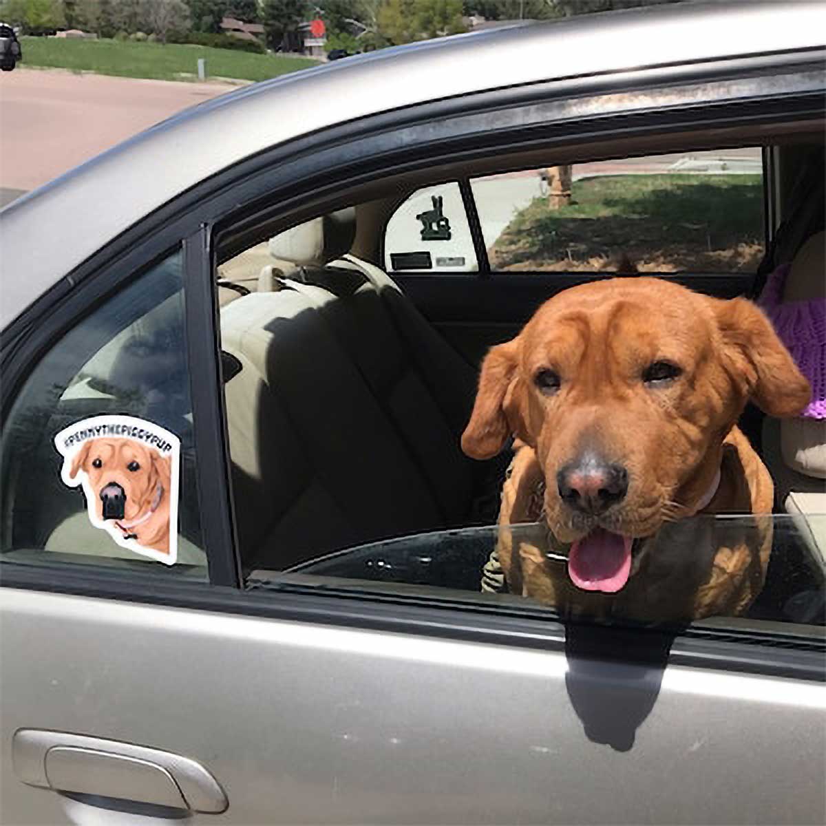 Personalized Dog Face Stickers